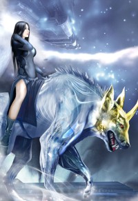 (猎人同人)绝代美花