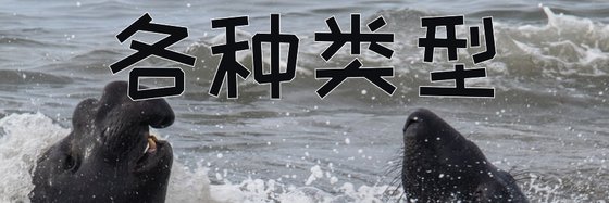 各种类型&每本都棒棒哒